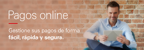 Pagos Online